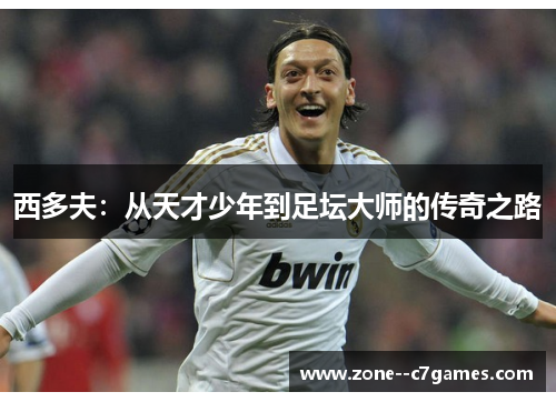 西多夫:从天才少年到足坛大师的传奇之路 西多夫:从天才少年到足坛大师的传奇之路